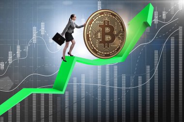 İş kadını bitcoin 'i kripto-para zinciriyle engelliyor