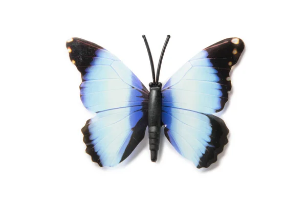 Mariposa colorida aislada sobre fondo blanco —  Fotos de Stock