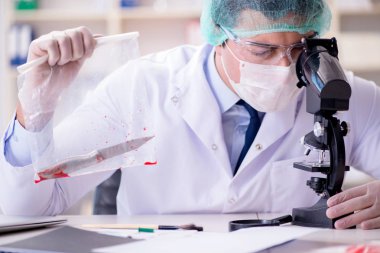Adli tıp dedektifi suç delilleri üzerinde çalışıyor.