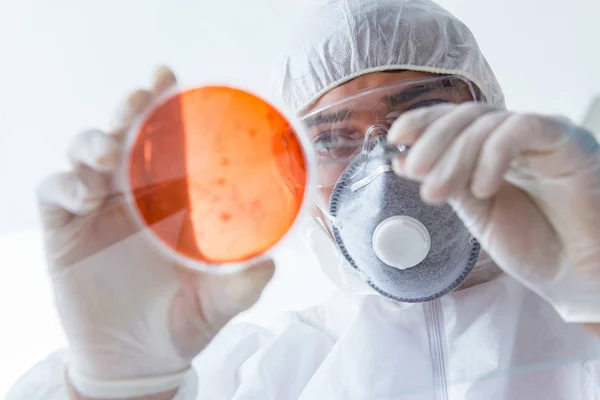 Chemik pracujący w laboratorium z niebezpiecznymi chemikaliami — Zdjęcie stockowe
