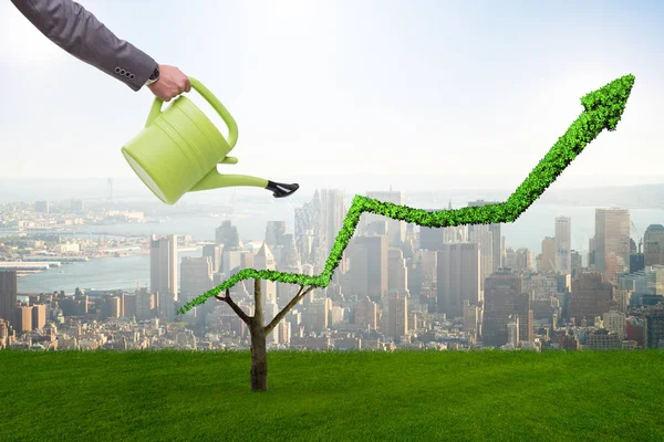 Businessman in investment concept watering financial line chart — Stock Photo, Image