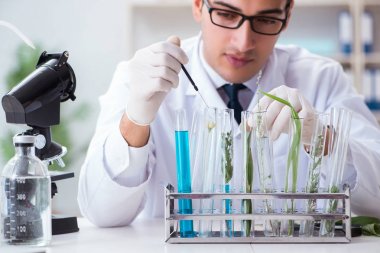 Biyoteknoloji bilim adamı kimyager laboratuarda çalışıyor.