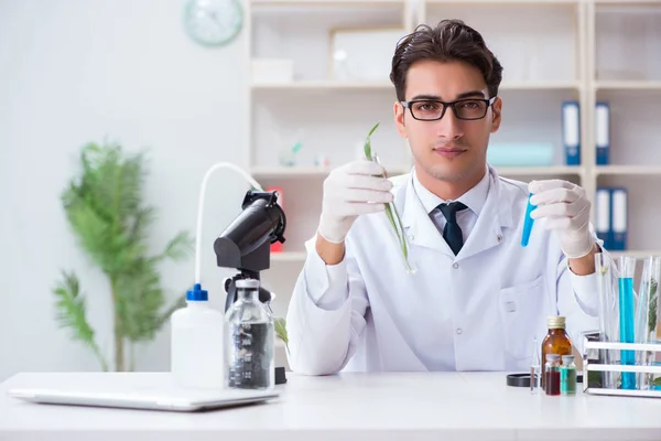 Biotechnology scientist chemist working in lab — Stock Photo, Image