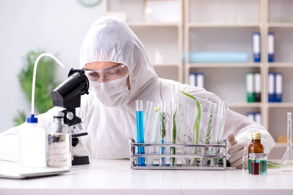 Químico cientista biotecnológico que trabalha em laboratório — Fotografia de Stock