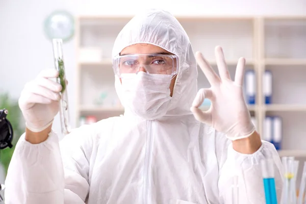 Biotecnología científico químico trabajando en laboratorio — Foto de Stock