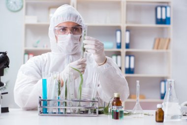 Biyoteknoloji bilim adamı kimyager laboratuarda çalışıyor.