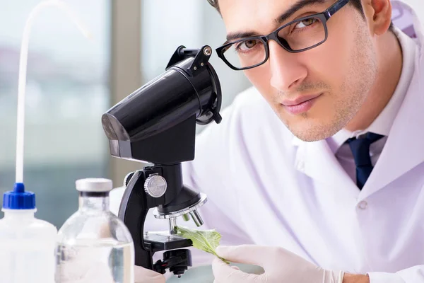 Biotechnologie wetenschapper chemicus werkzaam in het lab — Stockfoto