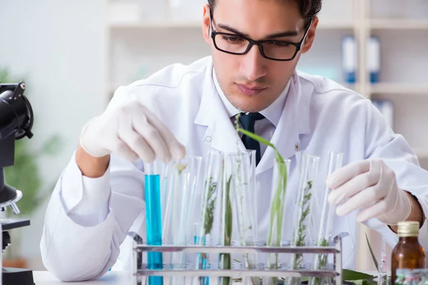 Biotechnologie-Wissenschaftler Chemiker arbeitet im Labor — Stockfoto