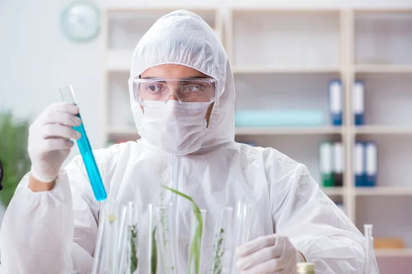 Biotecnología científico químico trabajando en laboratorio —  Fotos de Stock