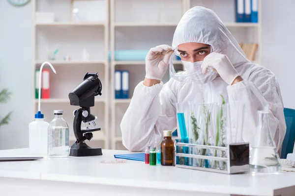 Chemik biotechnologiczny pracujący w laboratorium — Zdjęcie stockowe