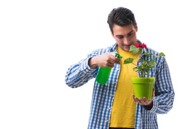 Çiçek saksısı olan genç adam beyaz tencereye izole edilmiş.