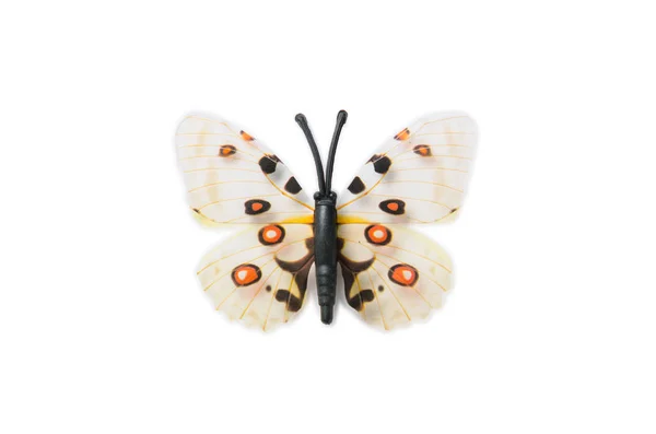 Красочная бабочка на белом фоне — стоковое фото