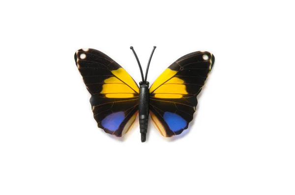 Beyaz arka plan üzerinde izole renkli kelebek — Stok fotoğraf