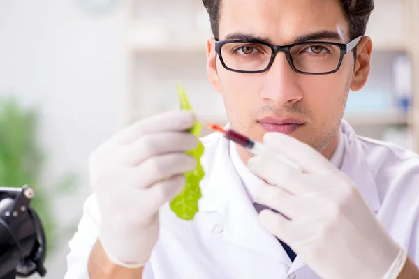 Biotechnologie wetenschapper chemicus werkzaam in het lab — Stockfoto