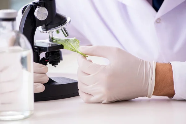 Químico cientista biotecnológico que trabalha em laboratório — Fotografia de Stock