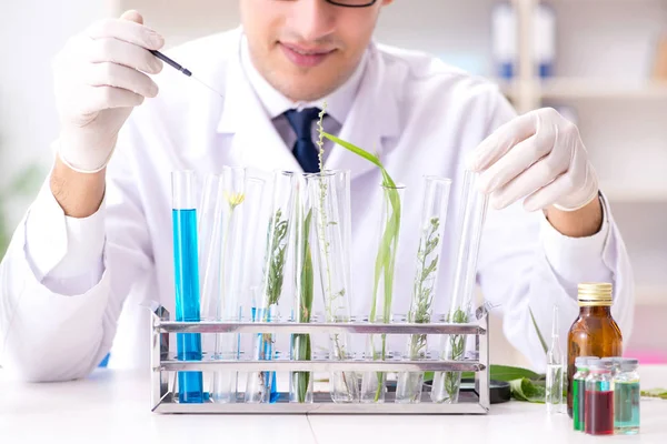 Biotecnología científico químico trabajando en laboratorio —  Fotos de Stock