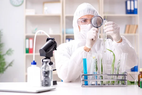 Químico cientista biotecnológico que trabalha em laboratório — Fotografia de Stock