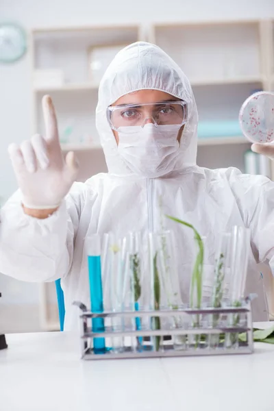 Biotecnología científico químico trabajando en laboratorio —  Fotos de Stock