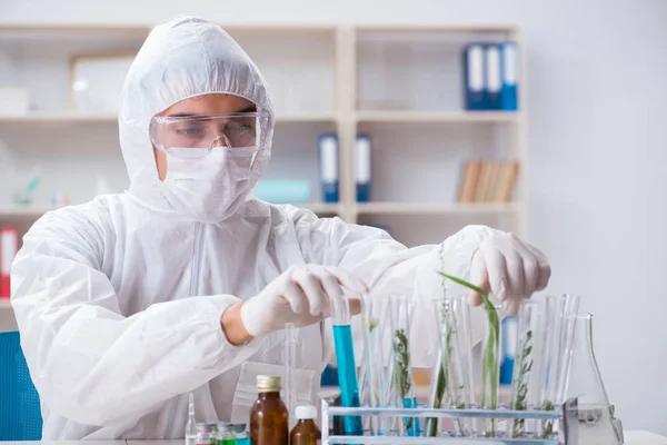 Biotecnología científico químico trabajando en laboratorio —  Fotos de Stock