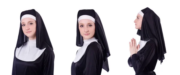 Nonne isoliert auf dem weißen Hintergrund — Stockfoto