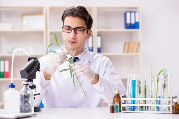 Biotechnologie-Wissenschaftler Chemiker arbeitet im Labor — Stockfoto