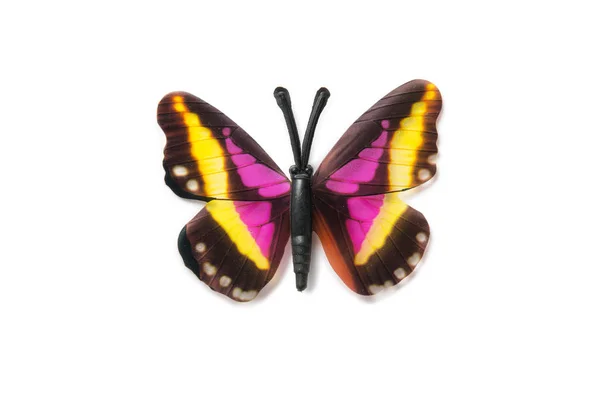 白い背景に分離されたカラフルな蝶 — ストック写真