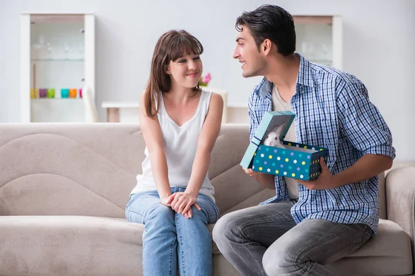 Genç bir kadın doğum günü hediyesi olarak evcil tavşan alıyor.