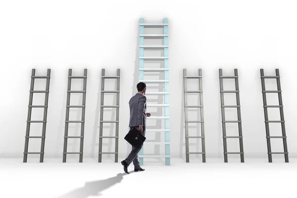 Η εξέλιξη της σταδιοδρομίας έννοια με διάφορες σκάλες — Φωτογραφία Αρχείου