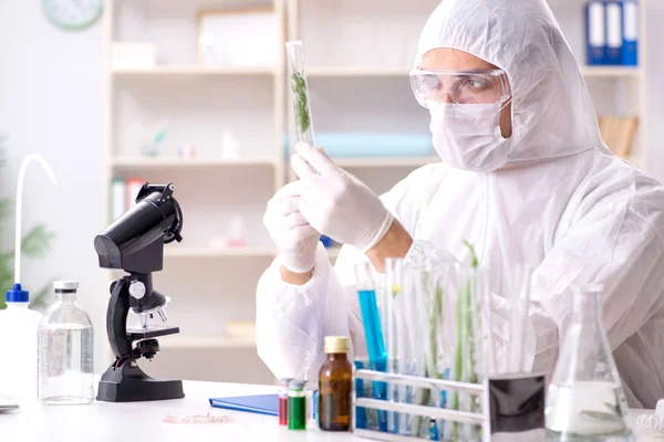 Biotecnología científico químico trabajando en laboratorio —  Fotos de Stock