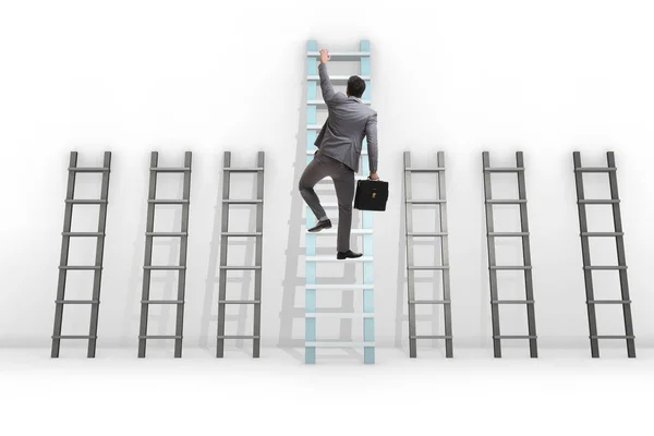 Carrière progressie concept met verschillende ladders — Stockfoto