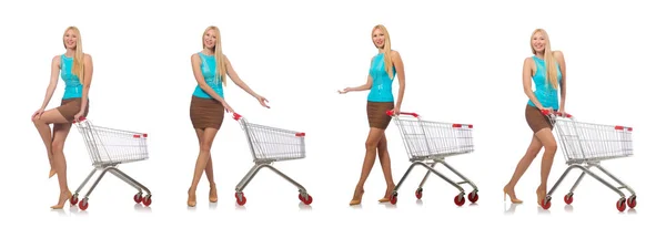 백인들에게 만 국한 된 쇼핑 컨셉의 여자 — 스톡 사진