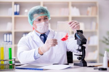 Adli tıp dedektifi suç delilleri üzerinde çalışıyor.