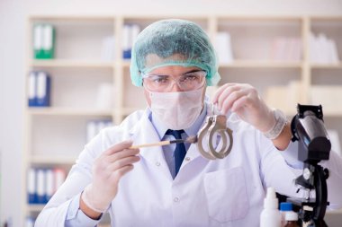 Kriminolog polis kimyageri suç delillerine bakıyor.