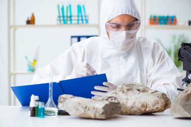 Bilimadamları laboratuarda taş örnekleri arıyor.