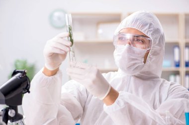 Biyoteknoloji bilim adamı kimyager laboratuarda çalışıyor.