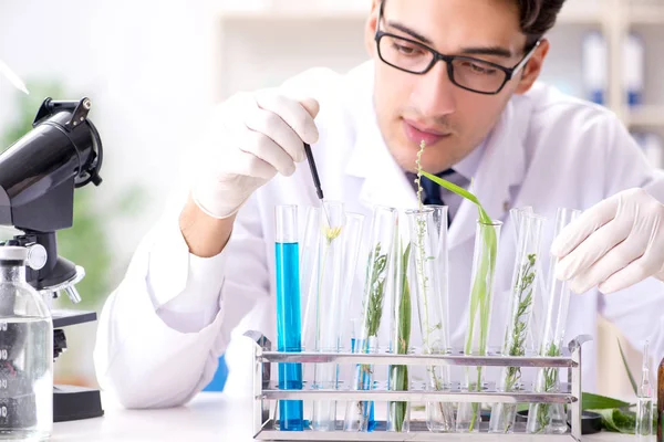 Biotechnology scientist chemist working in lab — Stock Photo, Image