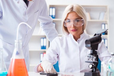 Laboratuvarda tartışan iki kimyager.