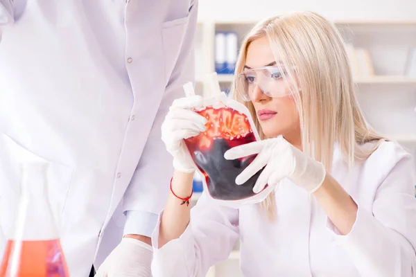 Mujer doctora mirando muestras de sangre en bolsa —  Fotos de Stock