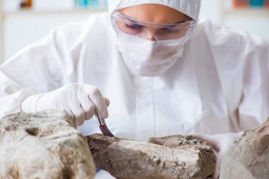 Bilimadamları laboratuarda taş örnekleri arıyor.