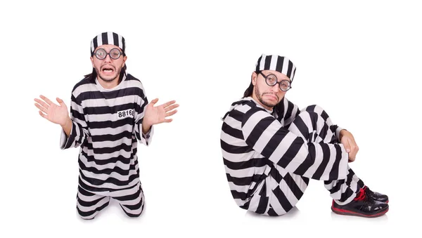 Prison inmate isolated on the white background — Stock Photo, Image