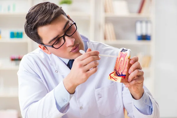 Jovem dentista que trabalha no hospital de odontologia — Fotografia de Stock