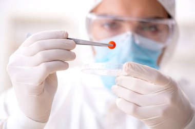 Uyuşturucu sentezi konseptinde laboratuar asistanı