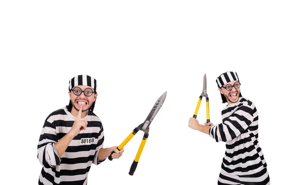 Prison inmate isolated on the white background — Stock Photo, Image