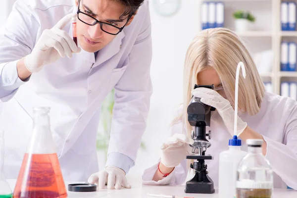 Two chemists having discussion in lab — Stock Photo, Image