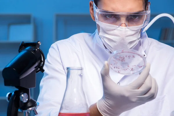 Médico pesquisando novo vírus no laboratório à noite — Fotografia de Stock