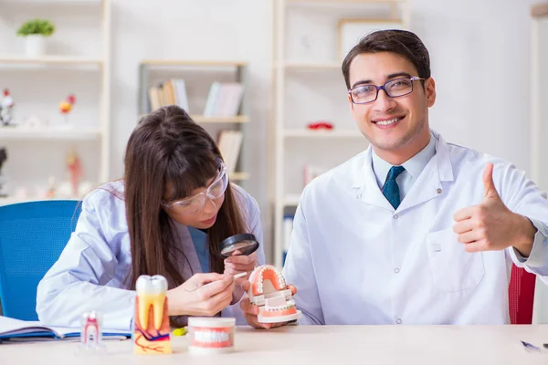 Dentista che spiega la struttura dei denti degli studenti — Foto Stock
