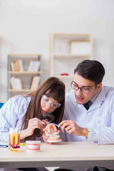 Dentista explicando estrutura dentária estudante — Fotografia de Stock