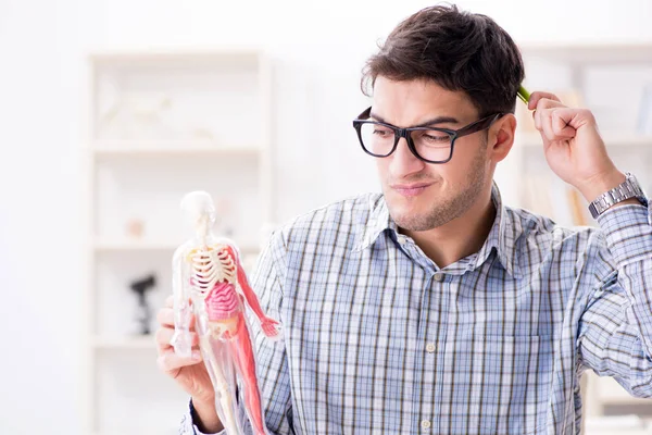 Medicinsk student studerar skelettet — Stockfoto