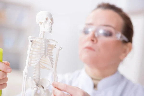 Женщина-врач изучает скелет человека — стоковое фото