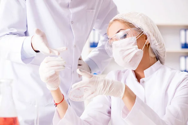 Mujer joven doctora en el laboratorio de la clínica del hospital —  Fotos de Stock